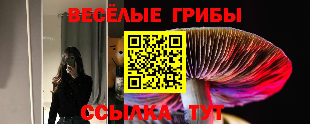 Псилоцибиновые грибы мухоморы Курчатов