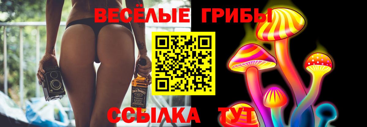 Псилоцибиновые грибы GOLDEN TEACHER  Вход с VPN  где купить наркотик  Курчатов 